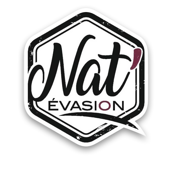 NAT EVASION